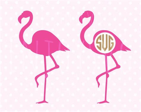 Flamingo Monogram Svg Flamingo Svg Flamingo Svg File