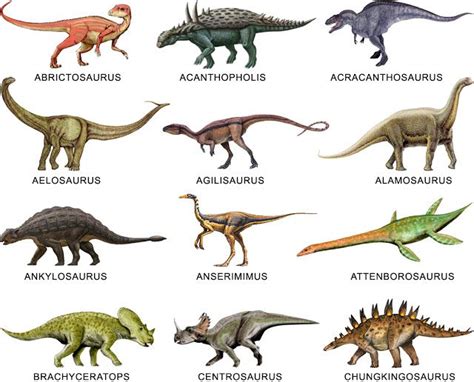 Más De 25 Ideas Increíbles Sobre Nombres De Dinosaurios En Pinterest