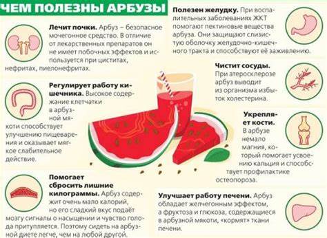 Можно на арбузе похудеть