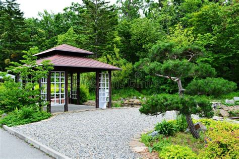 Small Japanese Style Gazebo In Park Next To Bonsai Tree Stock Photo