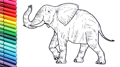 Drawing And Coloring A Elephant Wild Animals Color Pages For