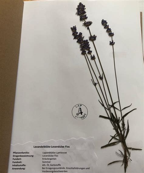 Herbarium Für Pka Lap In 4813 Altmünster Für € 7000 Zum Verkauf