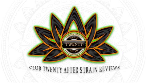 Truflower Florida Strain Review On Stardawg Hybrid From Trulieve