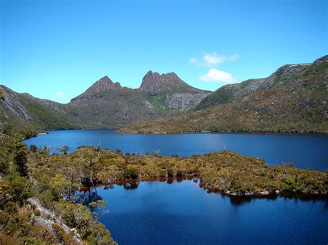 Exploring The Diverse Rainforests Of Australia All Blogroll The