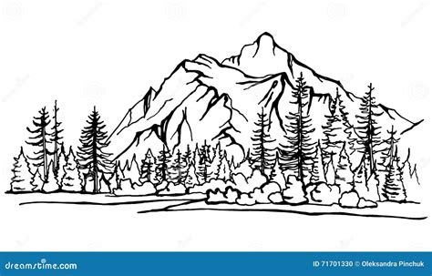 Mountain Landscape Forest Pine Trees Sketch Stock Vector