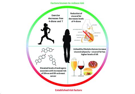 Going through an experience like cancer can make relationships stronger. Summary Of Known Diet And Lifestyle Factors Associated ...