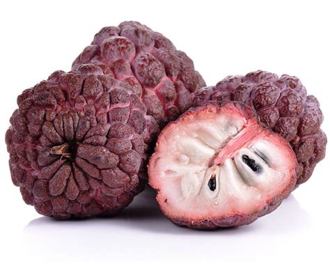 This fruit serves as a substitute for regular sugar that you often consume. Sugar Apple Red Grafted Kampong Mauve Variety