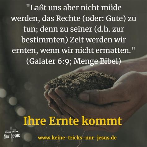 Aber wie hat dieser dude das geschafft? Wann ernten Sie? Eins ist sicher: Die Ernte kommt