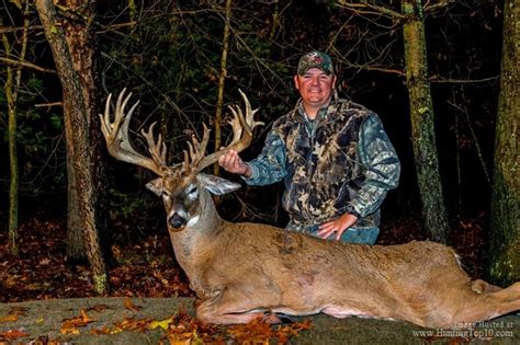 Trophy Whitetail Hunts In Michigan Large Whitetail Deer Trophy Buck