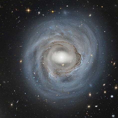 This Hubble Space Telescope Image Of Barred Spiral Galaxy Ngc 4921 That