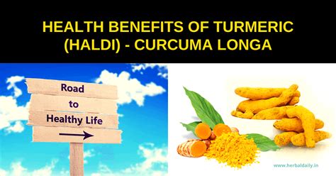Health Benefits Of Turmeric Haldi Curcuma Longa Herbal Daily Blog