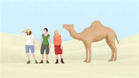 Puzzle Of The Week Camel Trip With Obstacles Best Games World