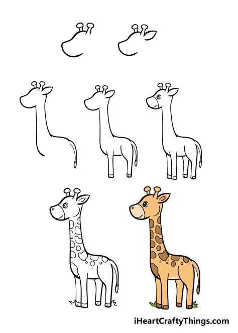 How To Draw A Giraffe Step By Step For Kids