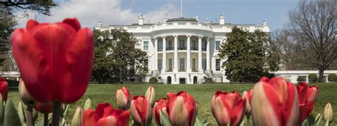 The Executive Branch The White House