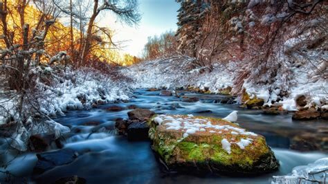 River Rocks Snow Stones Water Trees Winter Photography