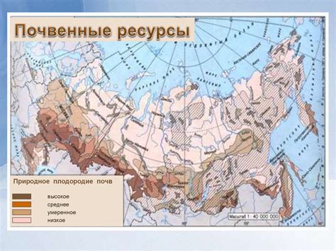Почвенные ресурсы России - презентация онлайн