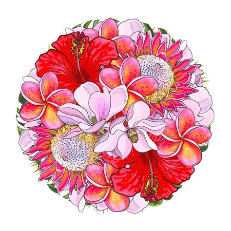 Italian flora vi suggerisce svariati mazzi di fiori con consegna a domicilio in tutto il mondo, cui omaggiare i vostri cari. Mazzo Rotondo Del Fiore Di Plumeria E Dell'ibisco ...