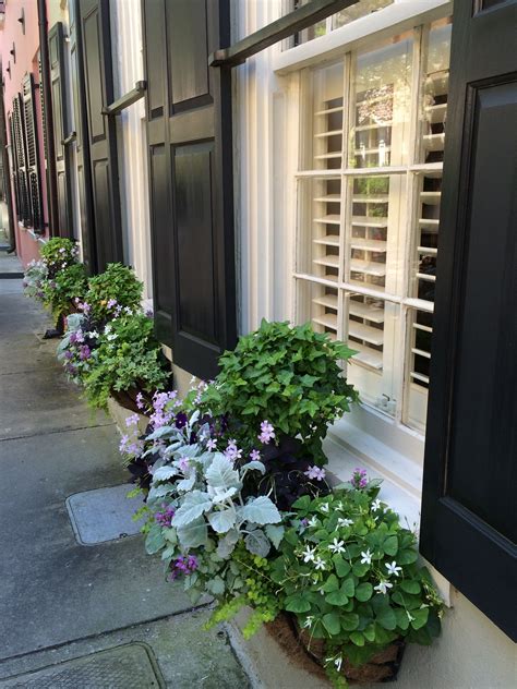 Apr 27, 2020 · there's no denying the power of curb appeal, and if you're hunting for an easy way to make your home more visually appealing, window boxes are a fairly simple solution.we discovered the 20 best. Charleston Window Boxes | Charleston gardens, Container ...