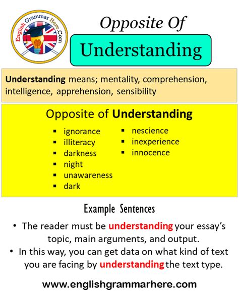 Opposite Of Understanding Antonyms Of Understanding Meaning And