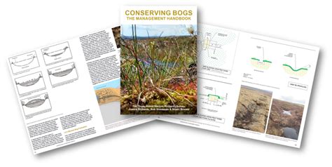 Conservation Handbook Iucn Uk Peatland Programme