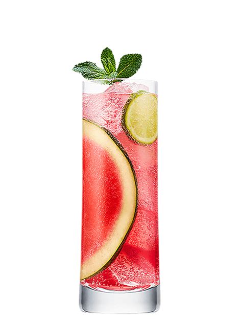 Watermelon Le Twist | Watermelon cocktail, Watermelon, Rum drinks