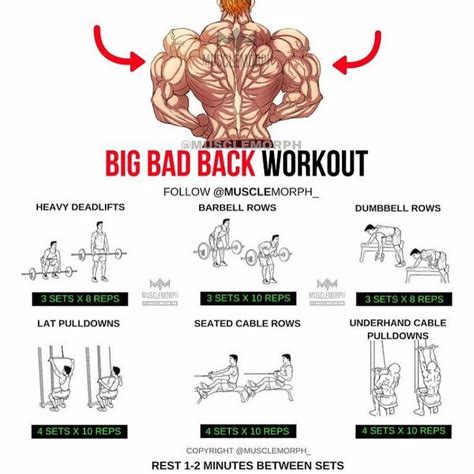 Want A Bigger Back Try This Workout Likesave It If You Found This