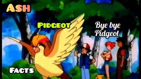 Ash Pidgeot Facts And Introductionpokemon Youtube