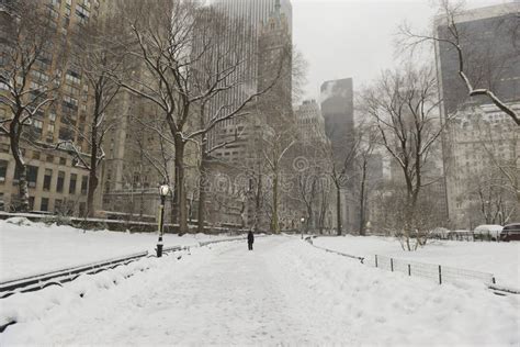 Central Park In The Snow New York Stock Image Image Of Nycwinter