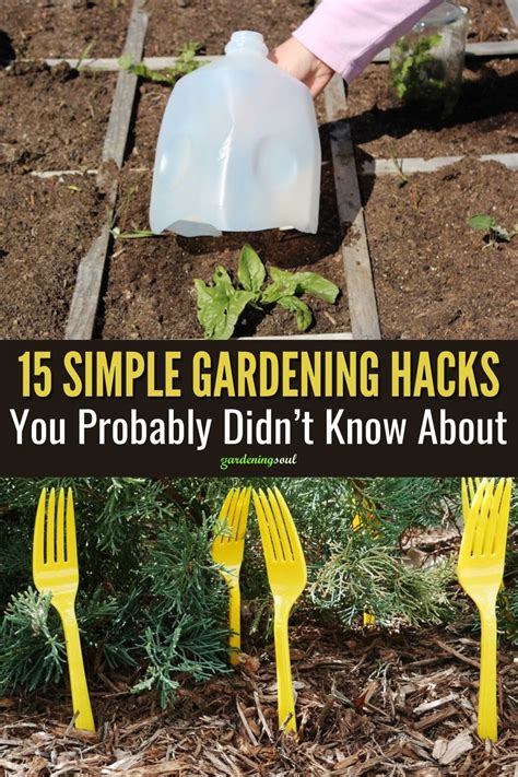 15 simple gardening hacks you probably didn t know about gardening