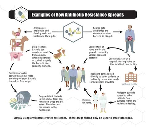 Antibiotic Resistance Origin Causes Mechanism • Microbe Online