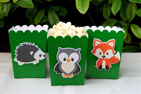 Woodland Creatures Party Favor Boxes Baby Shower Woodland
