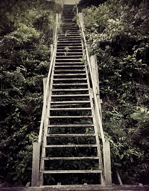Free Images Landscape Nature Track Suspension Bridge Ladder Of