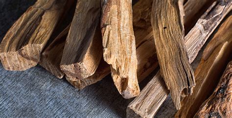Palo Santo Benefits Uses Recipes And Side Effects Dr Axe
