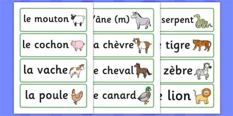 French Animal Word Cards Teacher Made