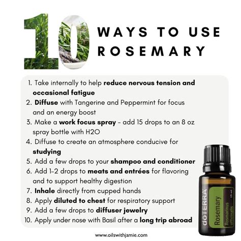 Doterra Rosemary Essential Oil How To Use Recipes Safety And More