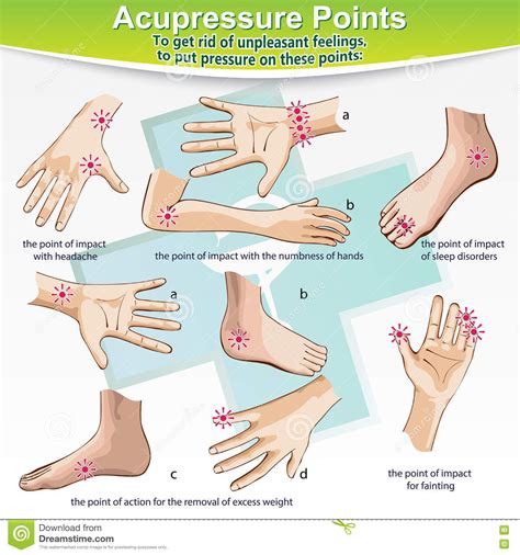 Massage Therapy Acupressure Points Illustration About Ache