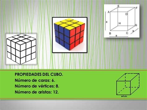 Cubo Exposicion