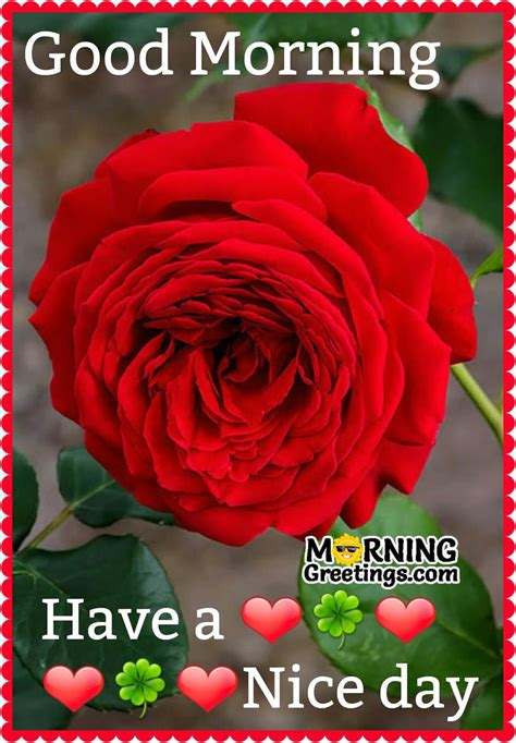 Have A Nice Day Images With Red Roses