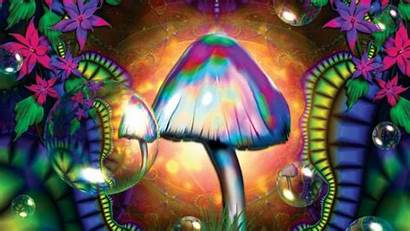 Trippy Psychedelic Mushroom Background Wallpapers Backgrounds Shroom