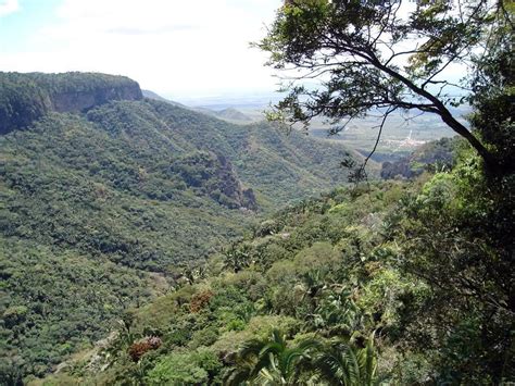 Parque Nacional de Ubajara (Ubajara-CE) Natureza | Parques nacionais, Ceara, Parque nacional