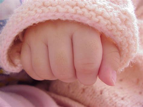 Baby Hand 1 Free Photo Download Freeimages