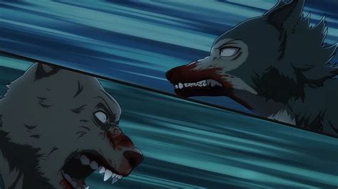 Beastars 2 12 28 Lost In Anime