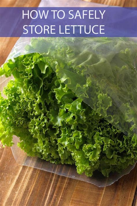 How To Store Lettuce From Your Garden How To Clean Store Garden