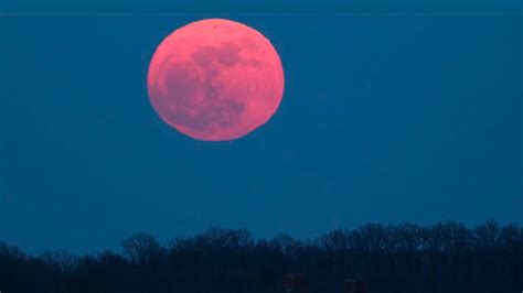 April 2021's pink moon, named after phlox, the pink flowers that bloom in spring, is also a super moon. Enjoy the "pink supermoon" this April 7, the largest in 2020, from your window - Monkey & Elf ...
