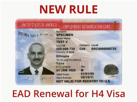 We did not find results for: Sample EAD card and text that says New Rule - EAD Renewal for H4 Visa