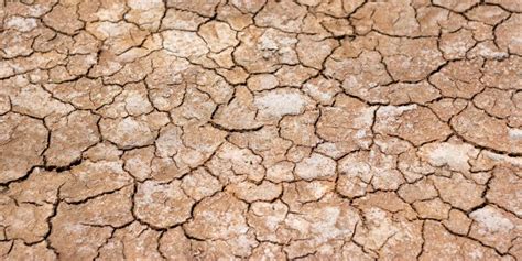 Dry Cracked Dirt Stock Image Image Of Background Dirt 47449671