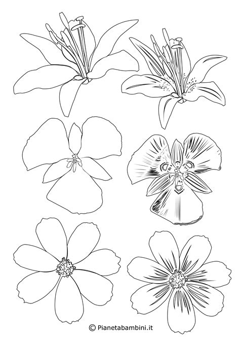 Tutorial su come disegnare dei tulipani con questa guida puoi imparare a disegnare un tulipano a matita e realizzare il chiaroscuro qui trovi il blog per im. 81 Sagome di Fiori da Colorare e Ritagliare per Bambini | PianetaBambini.it