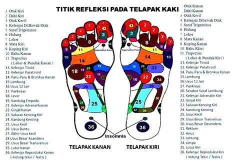 Pemakaian jam tangan bagi sesetengah orang adalah penting untuk menepati masa dan ada juga yang memakai aksesori ini untuk bergaya serta membelinya dengan harga yang mahal. Titik Pijat Refleksi Kaki Untuk Keputihan - Pijat Gaol