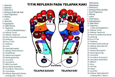 Dari betis sampailah ke tapak kaki. Titik Pijat Refleksi Kaki Untuk Keputihan - Pijat Gaol