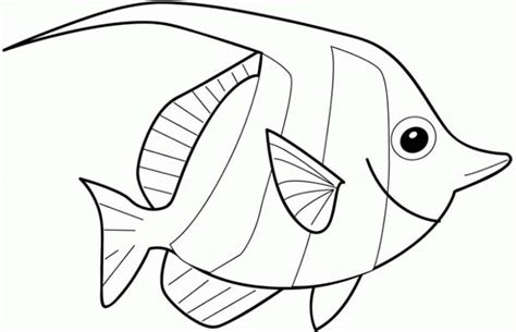 Up to 15 years size: Angelfish Coloring Pages - GetColoringPages.com